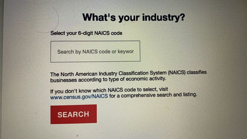 注册美国公司的利弊,注册美国公司的利弊分析