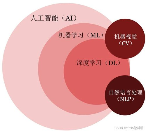 怎样学ai入门,手机a1自学最简单方法