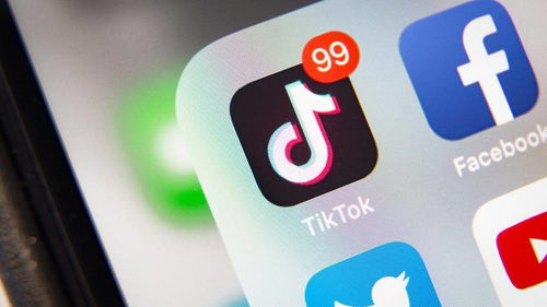 tiktok流量收益,tiktok 收益