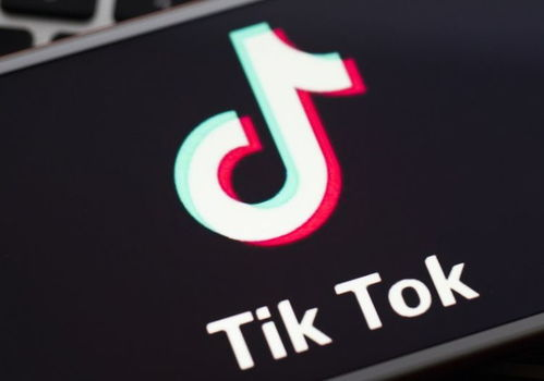 什么是TikTok流量池等级?
