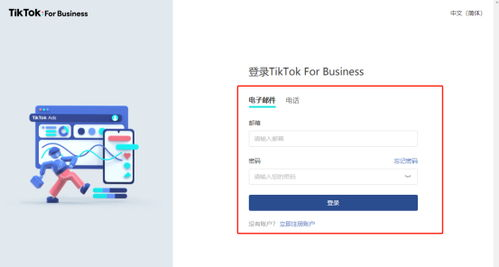 TikTok广告管理平台的基本介绍