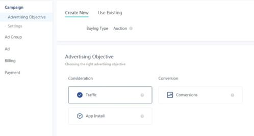 tiktok广告管理平台怎么改中文,tiktok开屏广告
