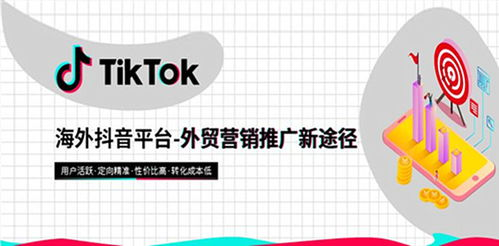 TikTok广告管理平台概述与核心功能