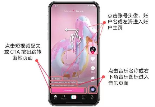 TikTok广告管理平台概述