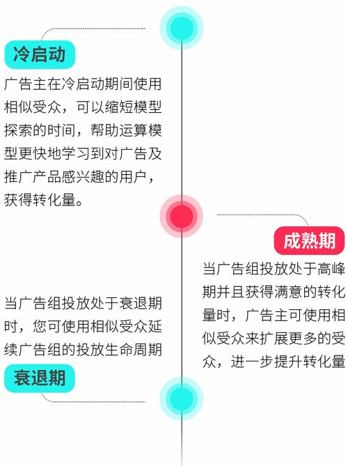 tiktok广告管理平台手机端,tiktok广告视频