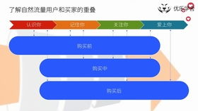Lazada平台概述与推广的重要性