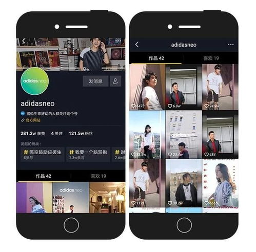 抖音号简介与重要性