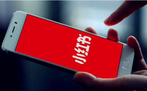 小红书注册的基本要求与常规流程