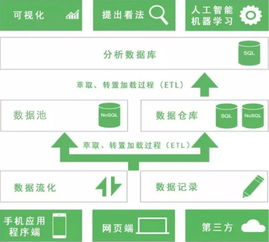 新用户注册的重要性及其对业务的影响