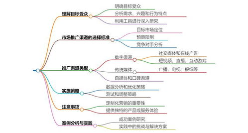 市场研究与目标受众分析