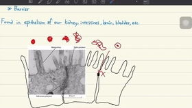 AI atlas,ai atlas彗星