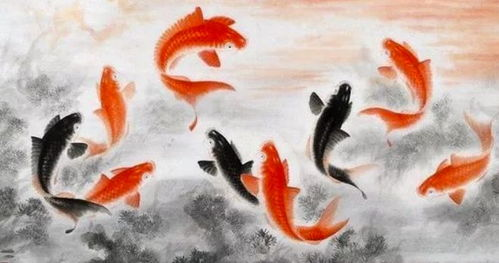 艾鲤的起源与独特魅力