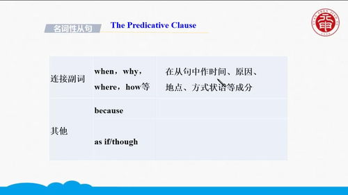 The Policy-Driven Foundation: Government Support for Entrepreneurial Growth