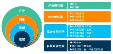 中国创业培训网络:构建创业生态的核心基础设施