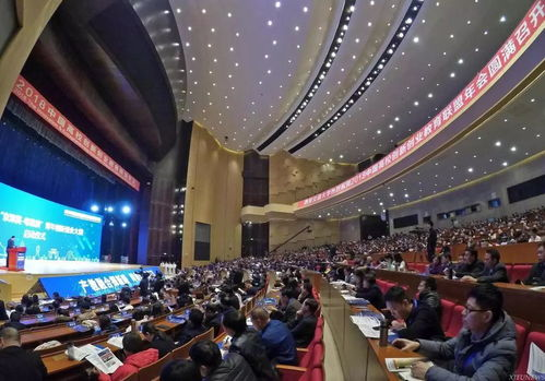 创新创业联盟，赋能中国创投生态