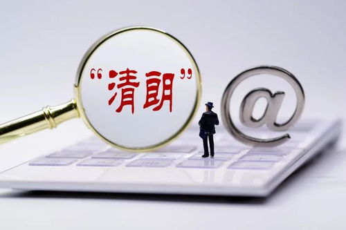 豪华组合的构成与核心能力解析