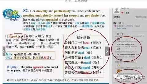 科学理解词汇记忆机制,奠定双语学习基石