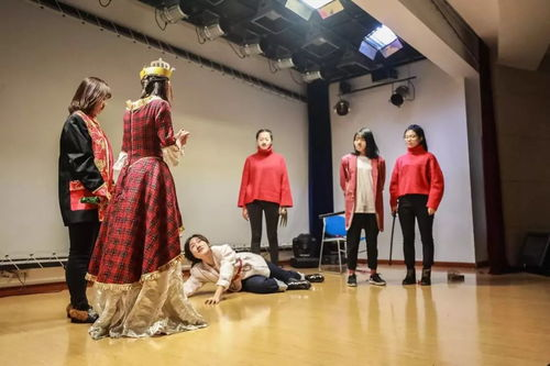 Comprehensive Language Learning Platforms