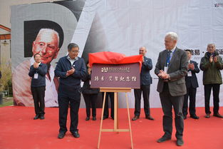 Understanding the Core Challenges in Teaching Chinese to Foreigners