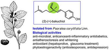 Basic Structure of Chinese Sentences