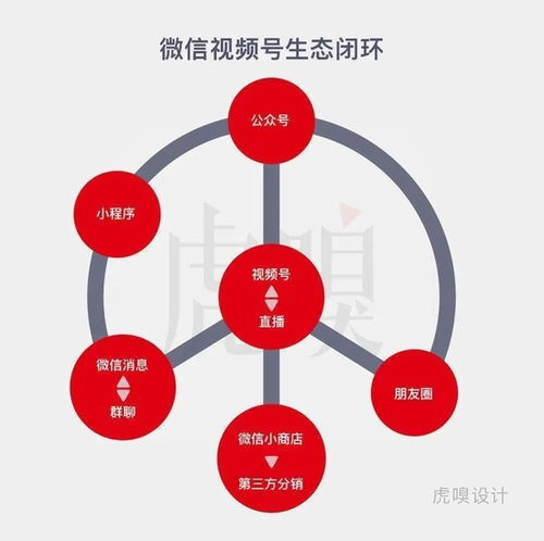 Douyin Account Transactions, Uncovering the Gray Market of Digital Asset Circulation