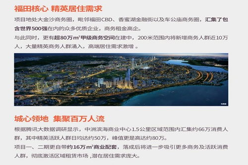 海洲网平台的核心价值与专业服务