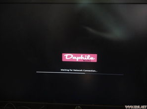 daphile下载,daphile中文版安装教程