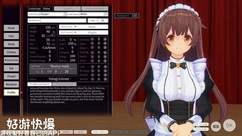 mymaid像素小女仆游戏,像素小女巫游戏