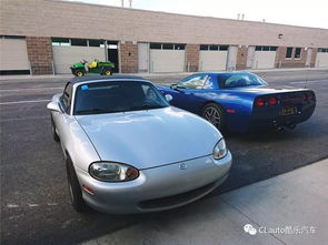 lota下载,LOTA下载