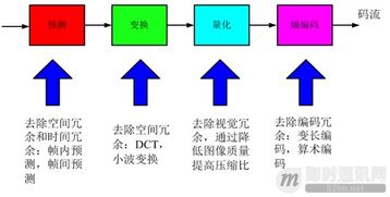 即时设计官网视频概述
