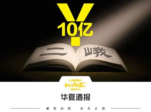 myedition品牌故事与独特魅力