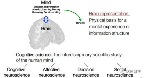 runwayml使用教程视频,runway clear
