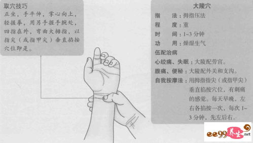 Qwen大模型的发音与理解指南，掌握其正确读法与实用应用技巧