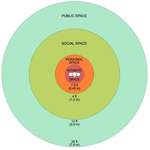 google下载,google下载安装