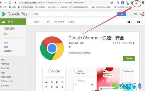 googleplay下载apk应用,googleplay下载app