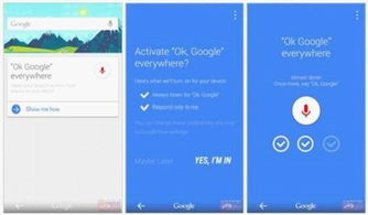 google下载安装 安卓,google官方下载