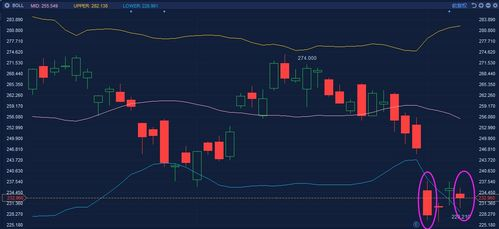 谷歌香港google搜索,谷歌香港搜索入口