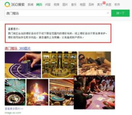 360搜索官网入口,360浏览器网站入口