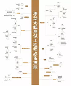 一、易碎品跨境运输的独特风险图谱