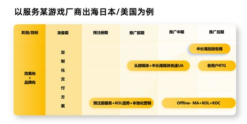 ## 八、营销本地化深度,#本土化营销的利与弊