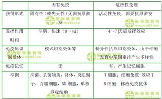 三、文化差异的适应性