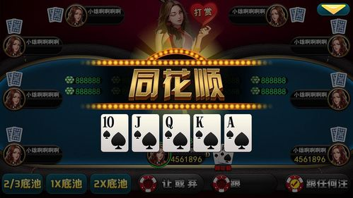 四、JJ德州扑克