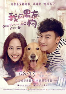 二、热门电视剧推荐