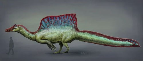 二、棘龙（Spinosaurus）- 水中霸主
