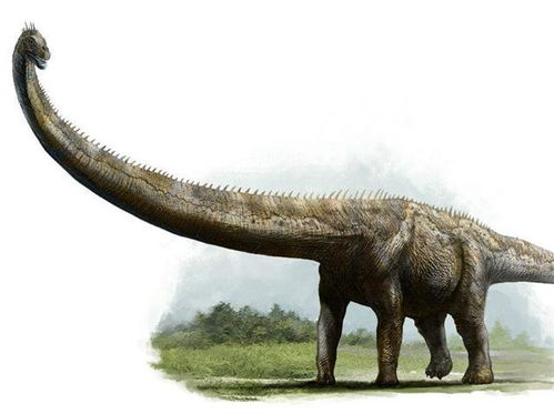 四、腕龙（Brachiosaurus）- 体型巨无霸