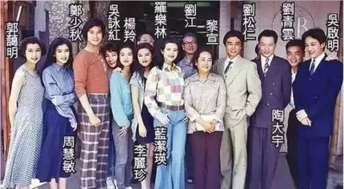 二、热门剧集盘点