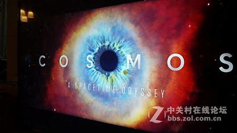 二、BD高清版本的画质与音效体验