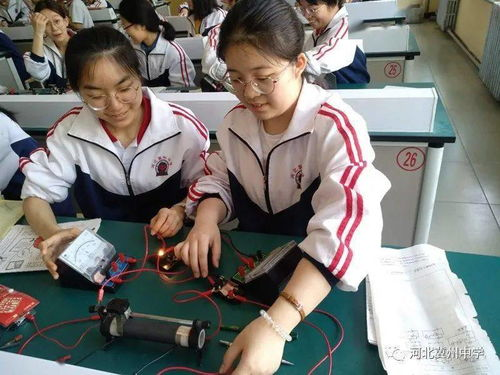 三、公益活动与社会责任