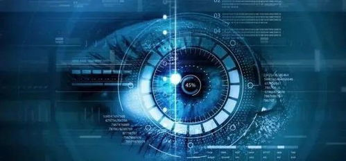 三、技术特色与视觉效果