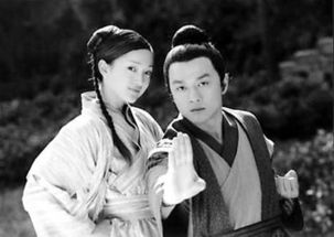 2. 《射雕英雄传》系列